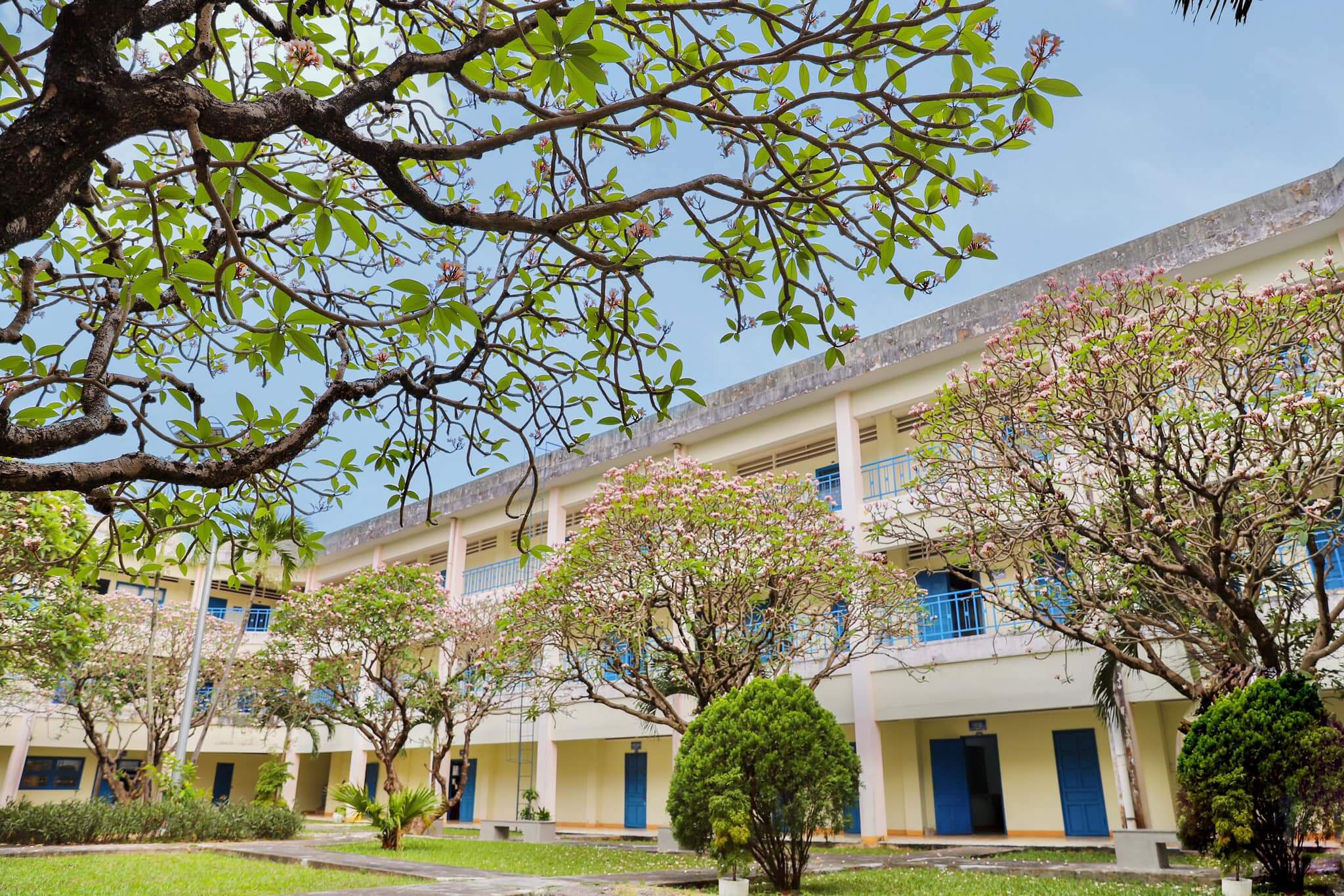 dai hoc quy nhon qnu