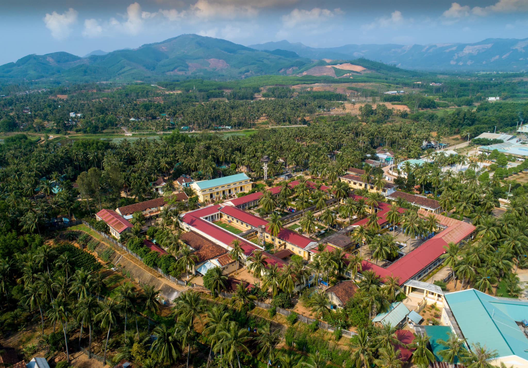 top 3 dac san tu dua hoai nhon