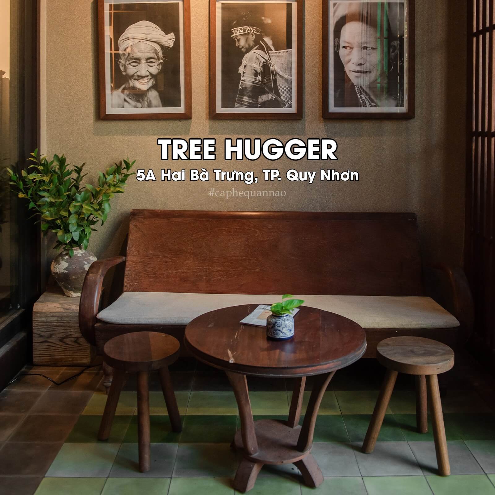 Top 5 quán cafe chữa lành tại Quy Nhơn 20 tree hugger quy nhon