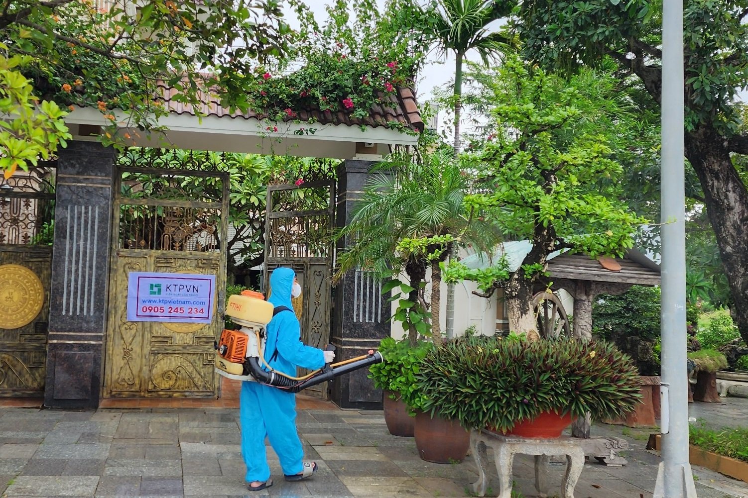diet moi binh dinh