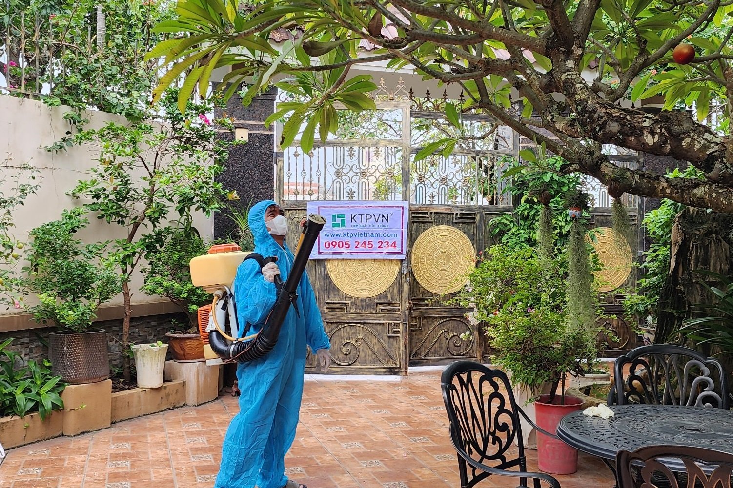 Top 5 công ty diệt mối uy tín nhất tại Quy Nhơn, Bình Định 8 ktpvietnam