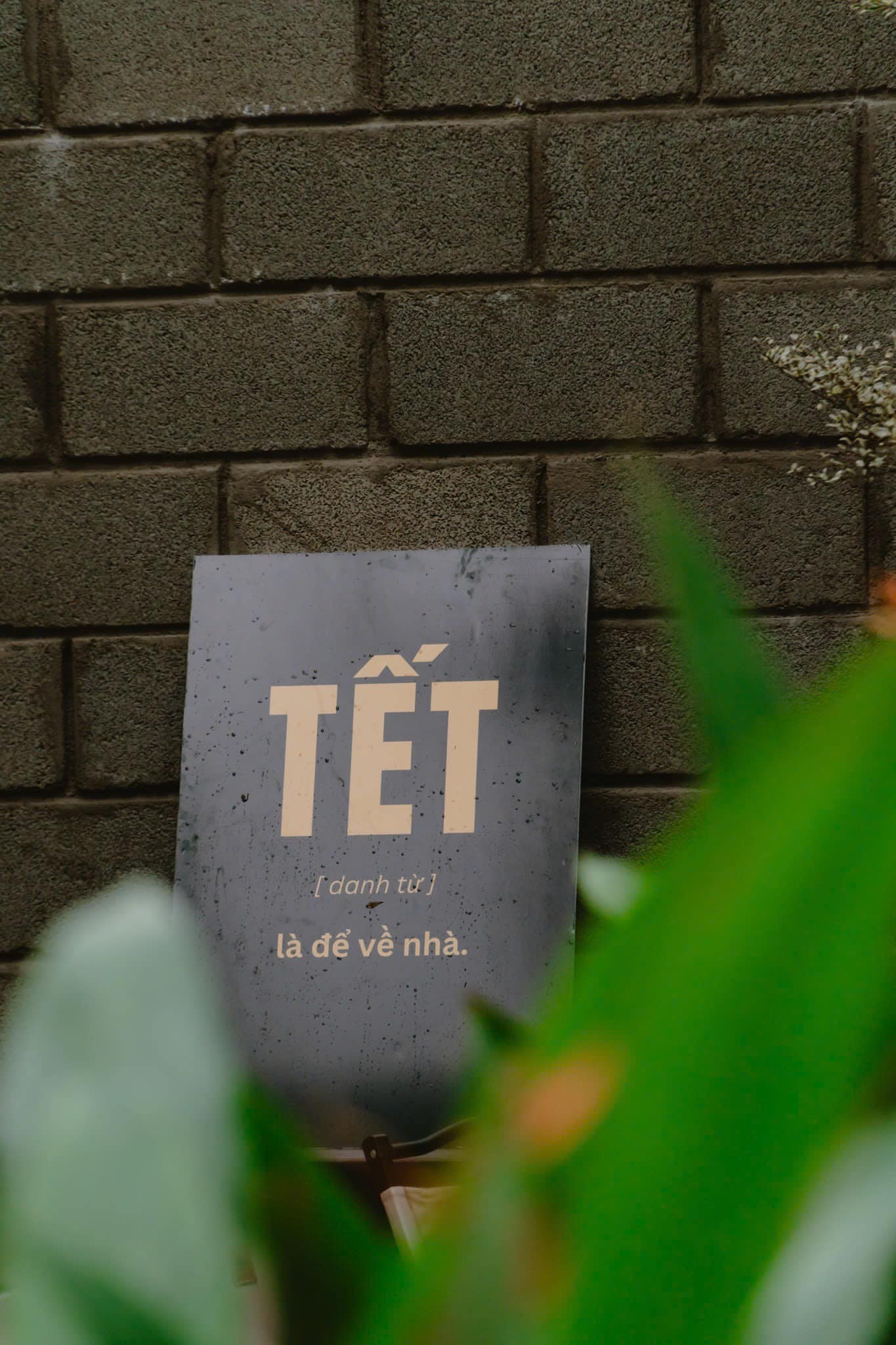 tet la anna