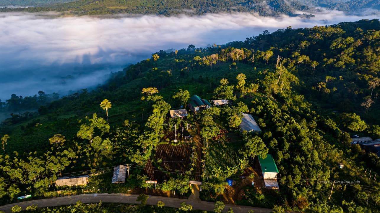 xa an toan tinh gia lai